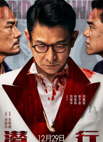 海南岛国际电影节自诞生以来便备受瞩目，如今已成为海南对外文化交流的窗口之一，今年，将更以一种全面开放的崭新姿态呈现在大众眼前 豪华片单在手 玩转第二届海南岛国际电影节！